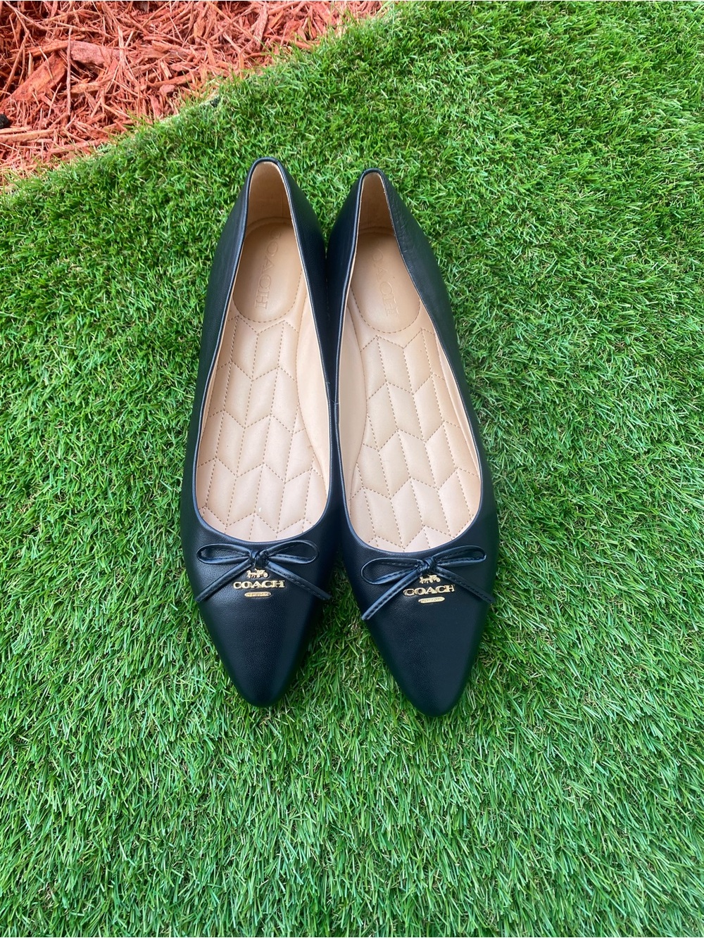 Coach Black Pointed Toe Leather Ballet Flats with Gold Logo
